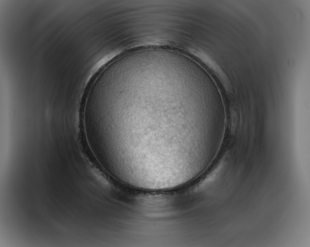 X0000088190834200705221700