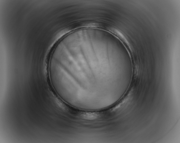 X0000088190835200705221700
