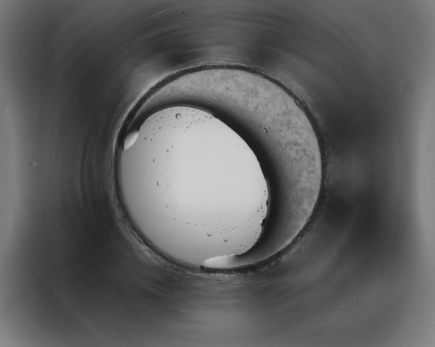 X0000088190836200705221700