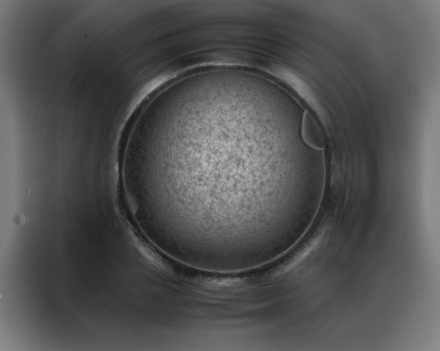 X0000088190837200705221700