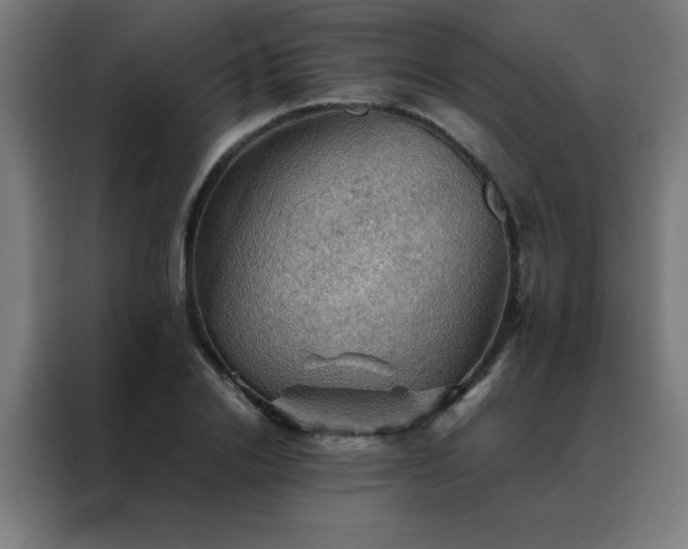 X0000088190838200705221700