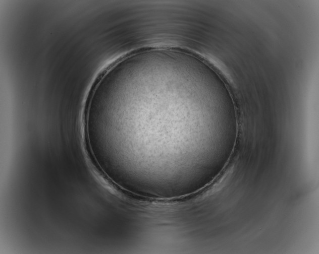 X0000088190840200705221701