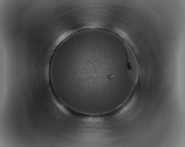 X0000088190842200705221701