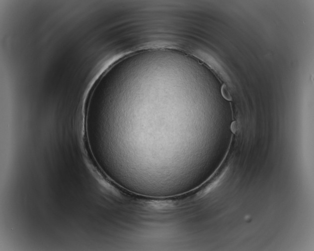X0000088190844200705221701