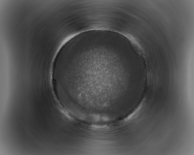 X0000088190846200705221701
