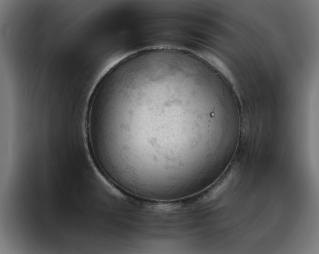 X0000088190847200705221701