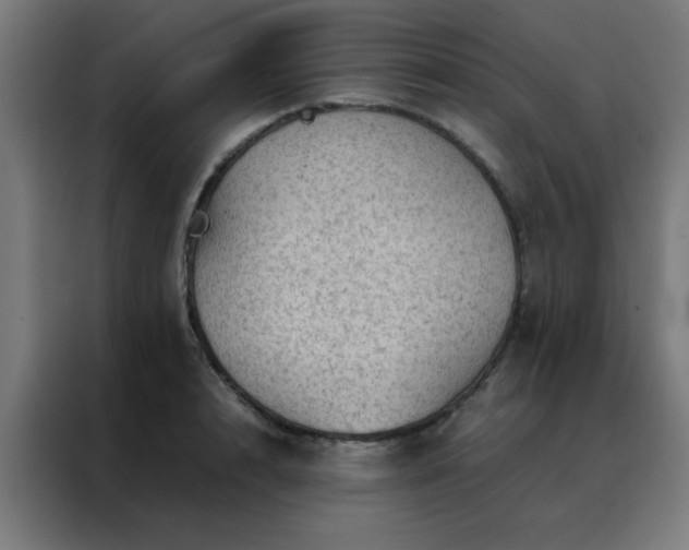 X0000088190848200705221701