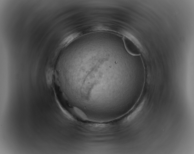X0000088190849200705221701
