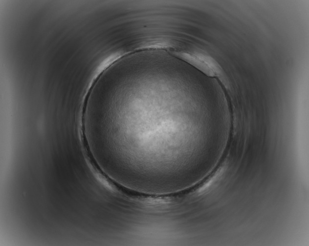 X0000088190850200705221701