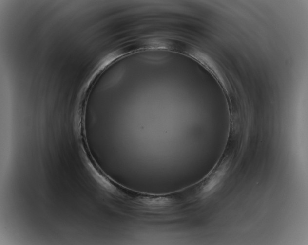 X0000088190851200705221701