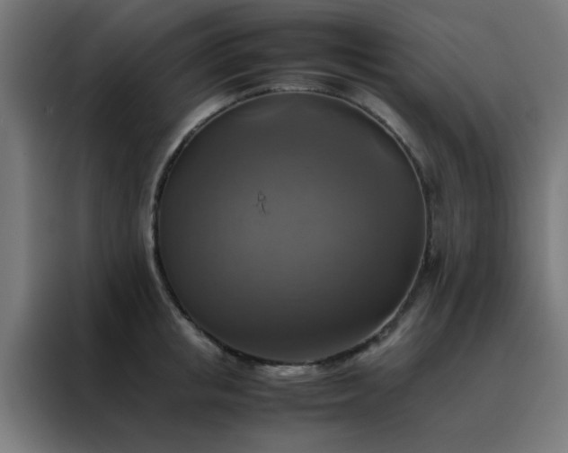 X0000088190853200705221701