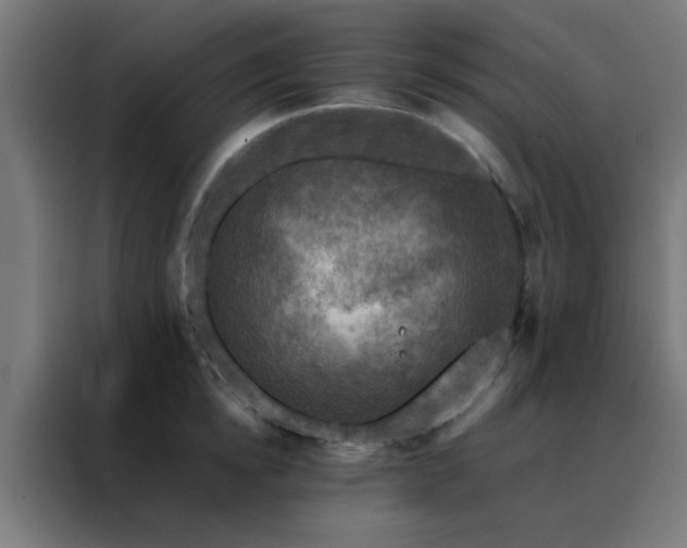 X0000088190854200705221701