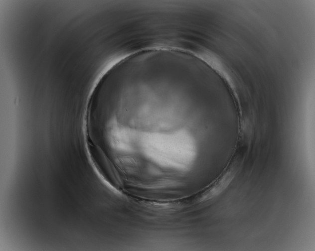 X0000088190855200705221701