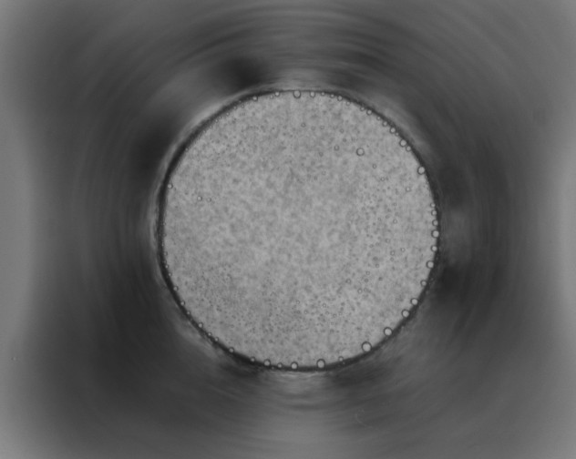 X0000088190856200705221701