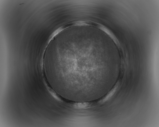X0000088190858200705221701