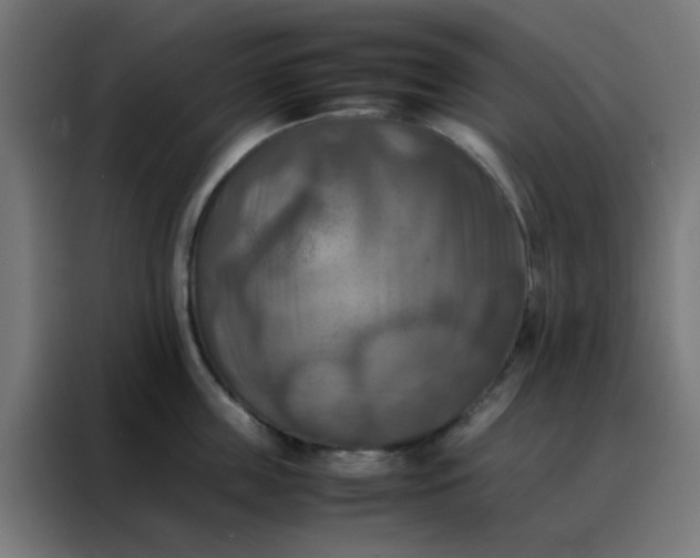 X0000088190859200705221701