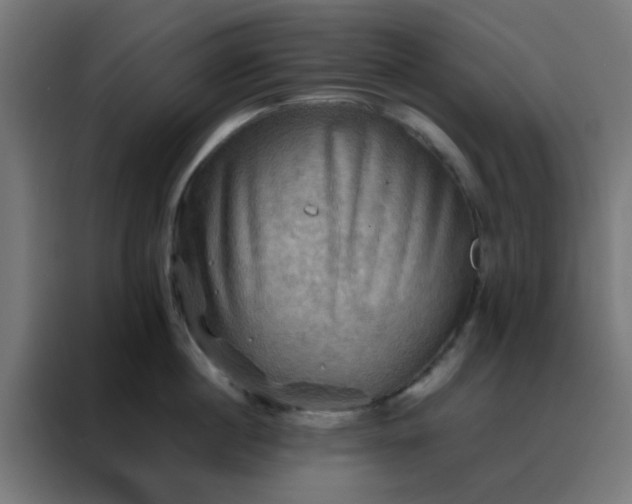 X0000088190860200705221701