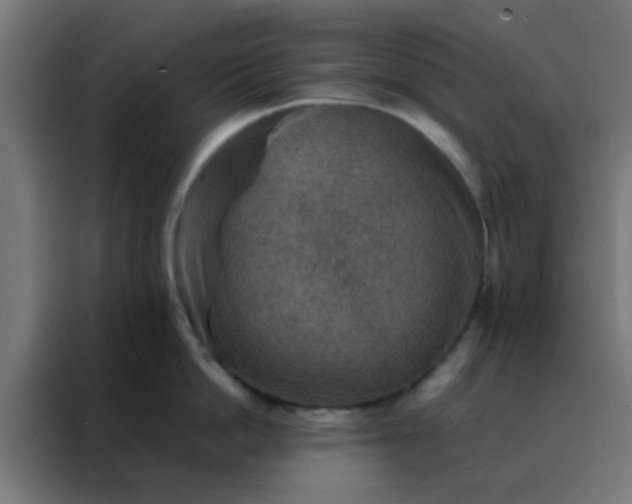 X0000088190862200705221701