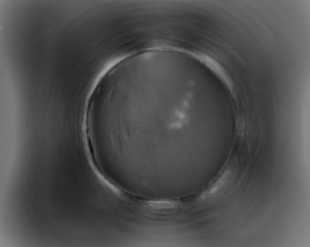 X0000088190863200705221701