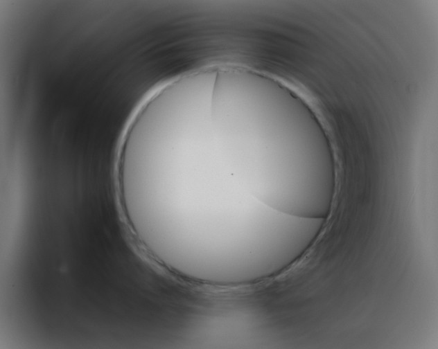X0000088190864200705221701