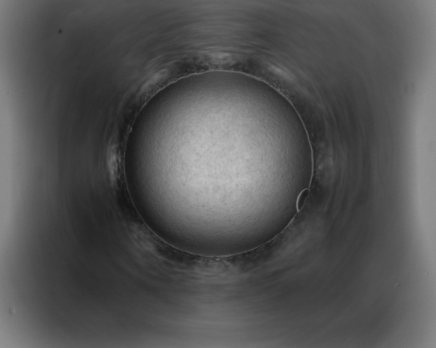 X0000088190866200705221700