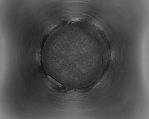 X0000088190868200705221700