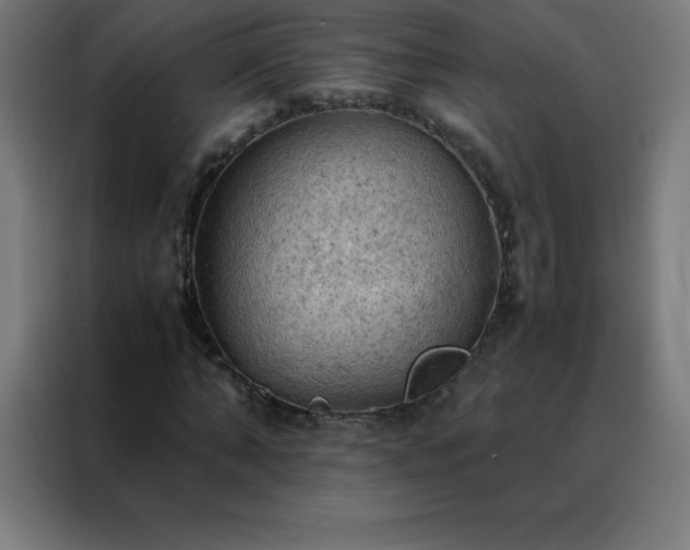X0000088190870200705221700