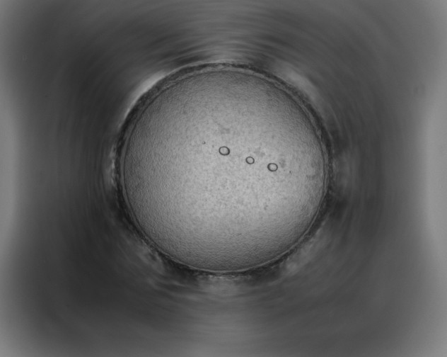 X0000088190875200705221700