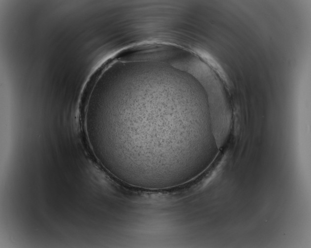 X0000088190876200705221700