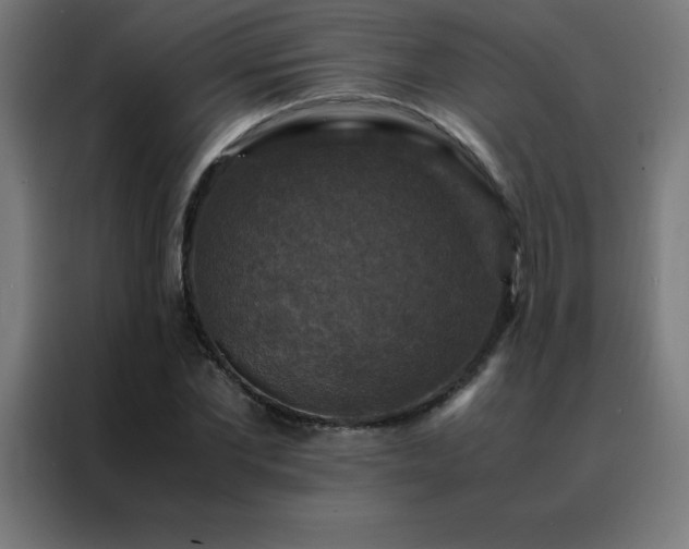 X0000088190877200705221700