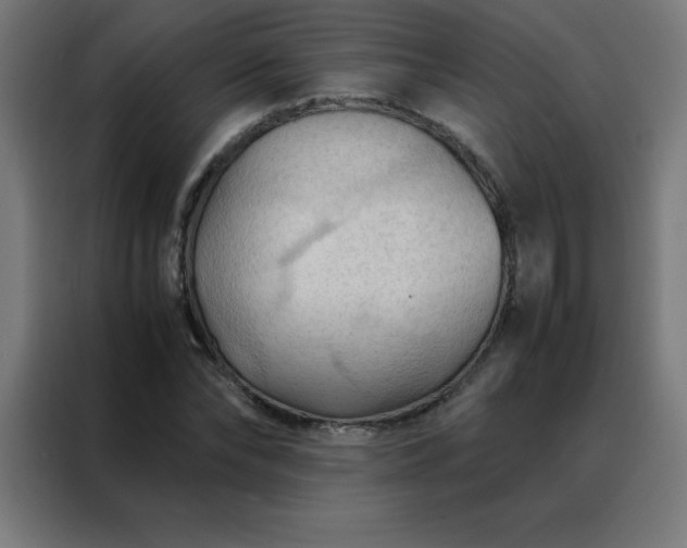 X0000088190878200705221700