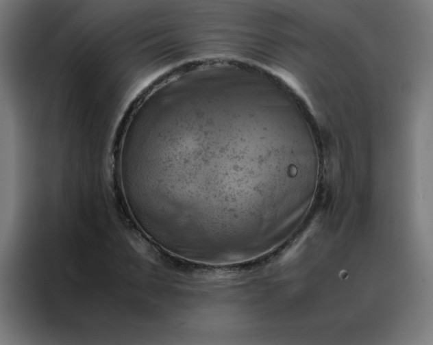 X0000088190879200705221700