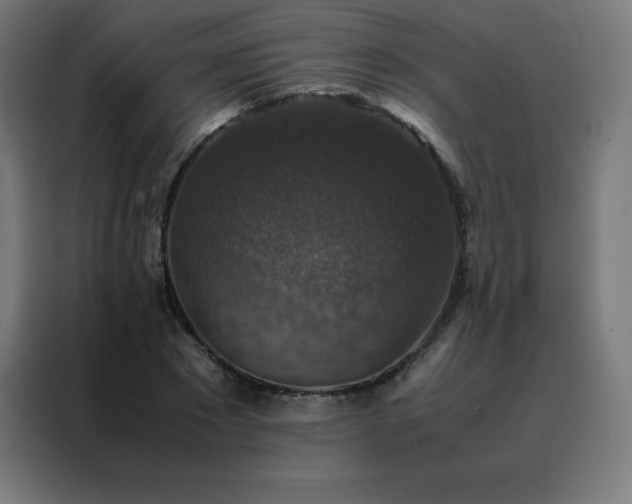 X0000088190881200705221700