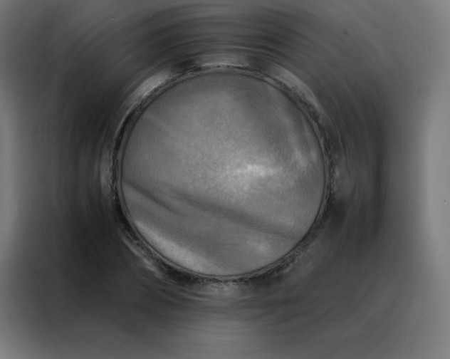 X0000088190882200705221700