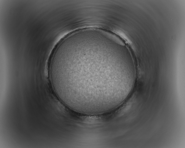 X0000088190883200705221700