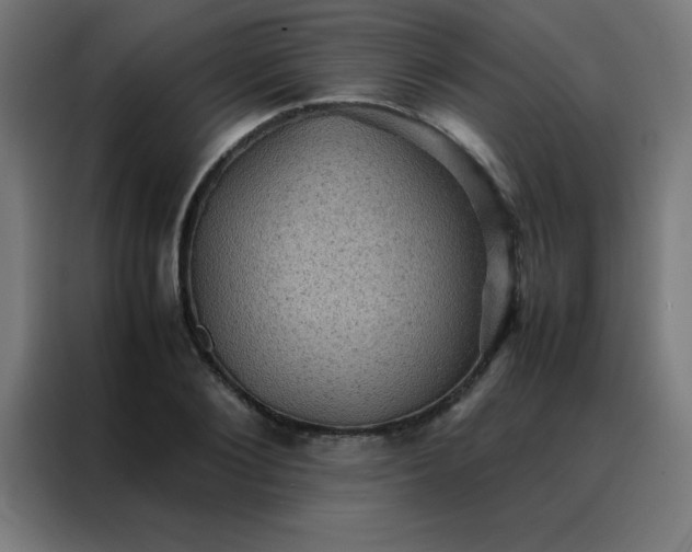 X0000088190884200705221700