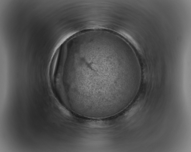 X0000088190885200705221700