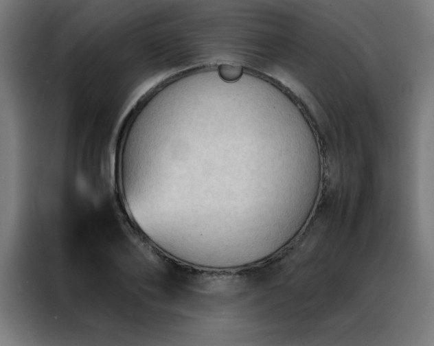 X0000088190886200705221700