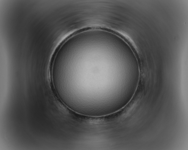 X0000088190887200705221700