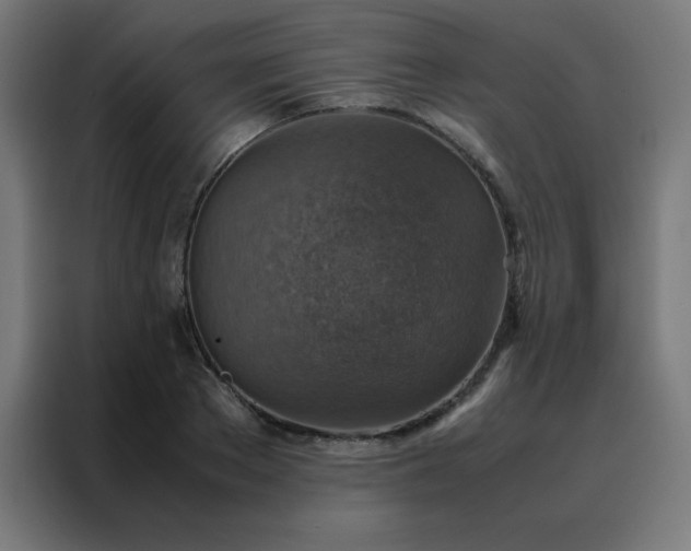 X0000088190889200705221700