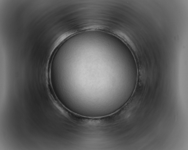 X0000088190890200705221700