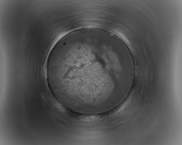 X0000088190891200705221700