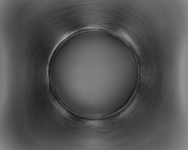 X0000088190892200705221700
