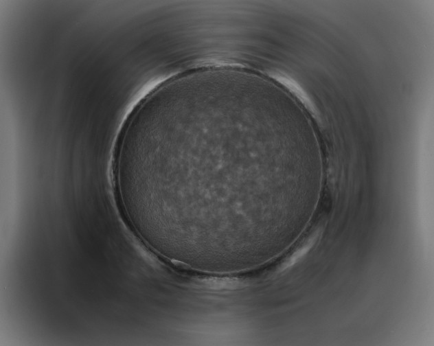 X0000088190893200705221700