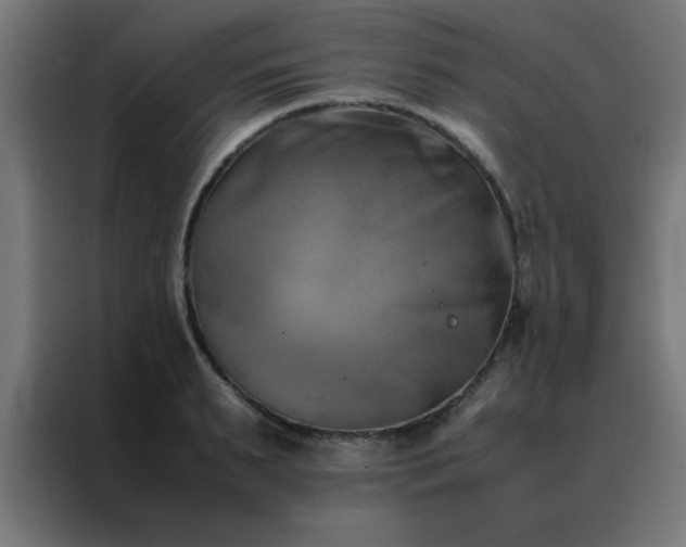 X0000088190895200705221700
