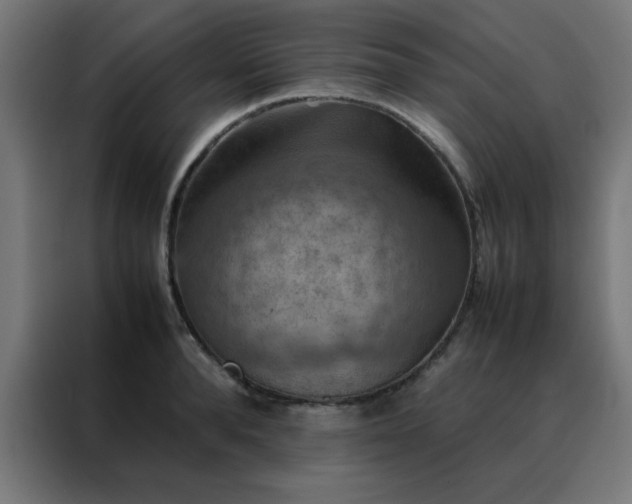 X0000088190896200705221700