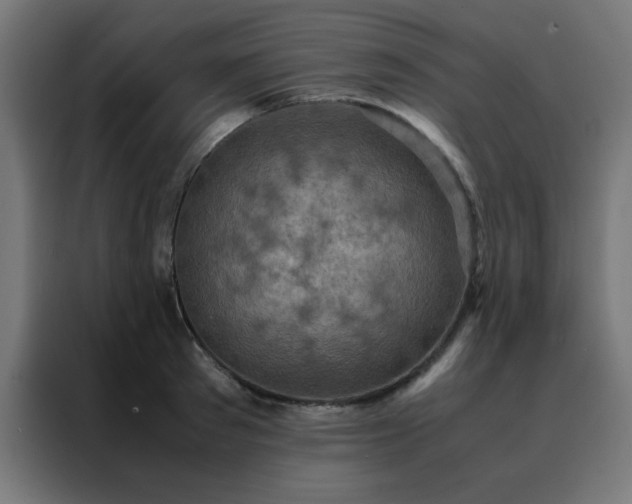 X0000088190897200705221700