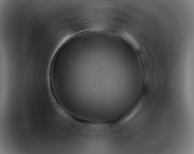 X0000088190899200705221700