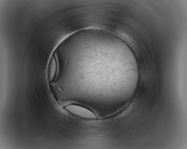 X0000088190900200705221700