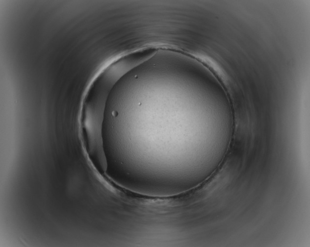 X0000088190902200705221700